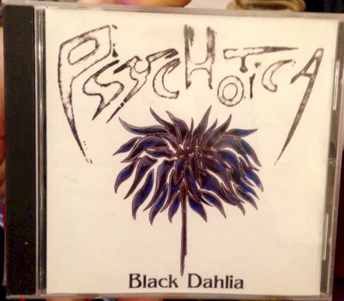 Black Dahlia