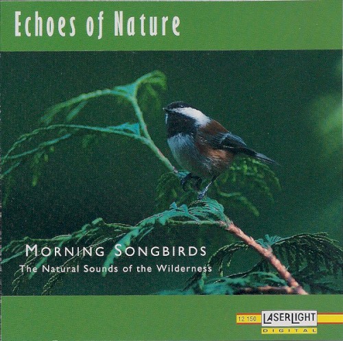 Morning Songbirds — The Natural Sounds of the Wilderness