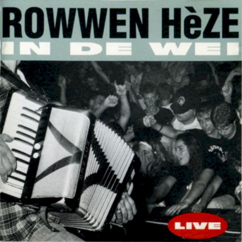 In de wei