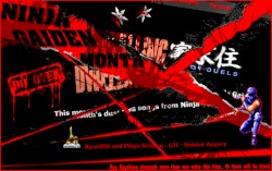 Dwelling of Duels 2009-11: Ninja Gaiden Month Part 2