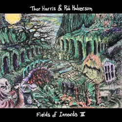 Fields of Innards III