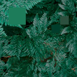 Metaphor to the Floor EP