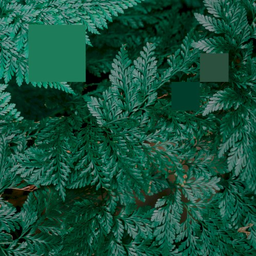 Metaphor to the Floor EP