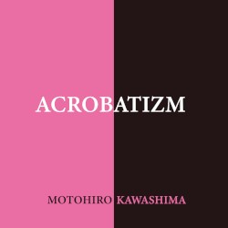 Acrobatizm