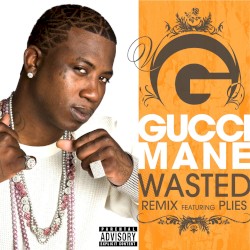 Wasted (remix)