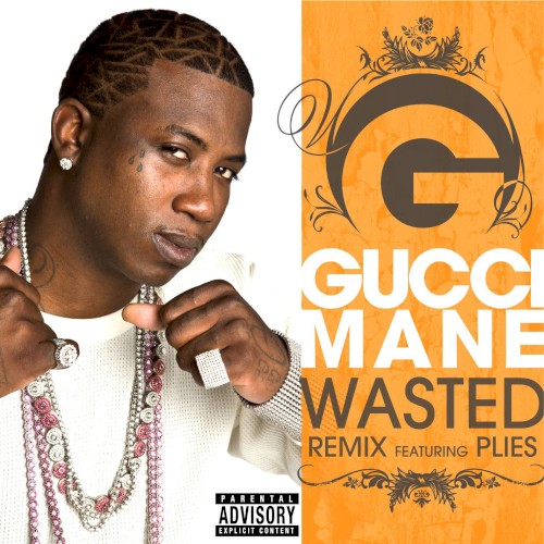 Wasted (remix)