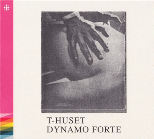T-huset