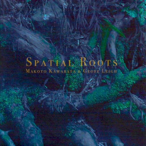 Spatial Roots