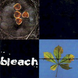 Bleach