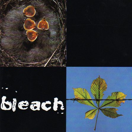 Bleach