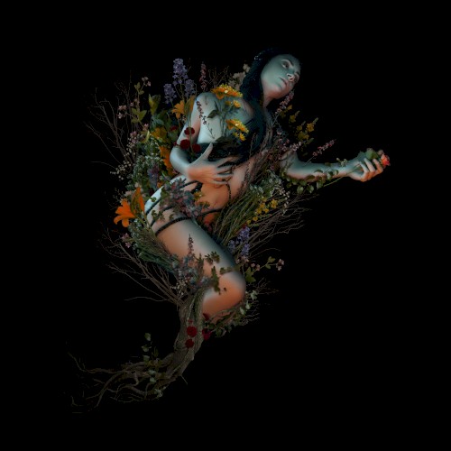 Bloom