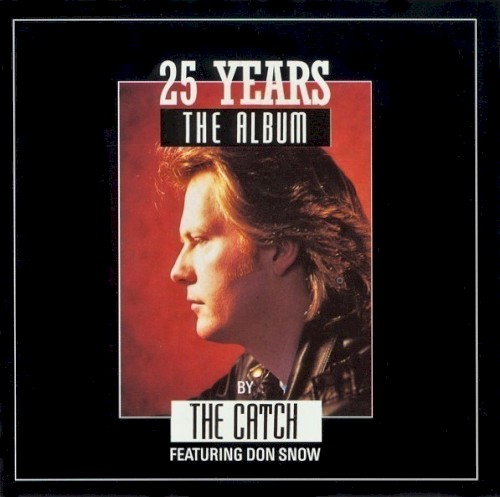 25 Years: The Album