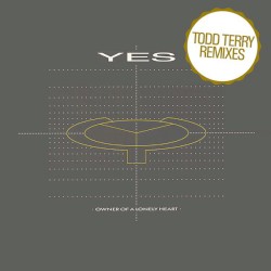 Owner of a Lonely Heart (Todd Terry remixes)