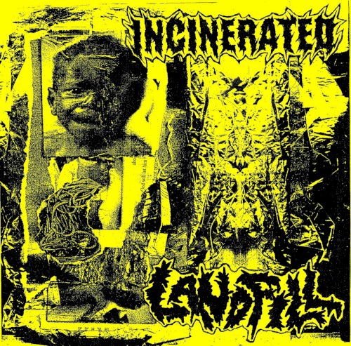 Incinerated / Landfill
