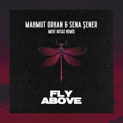 Fly Above (Mert Oksuz remix)