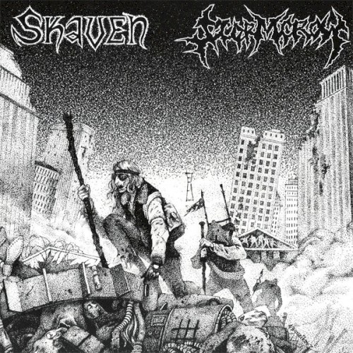 Skaven / Stormcrow