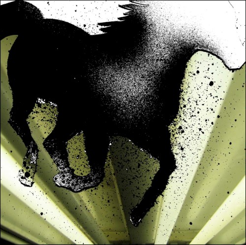 The Dark Horse