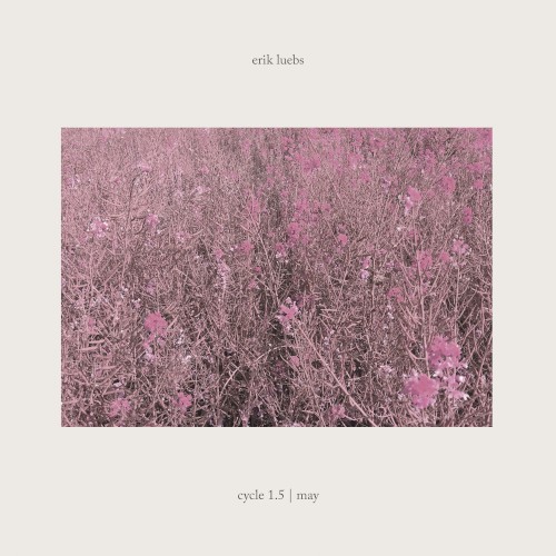 Cycle 1.5 | May