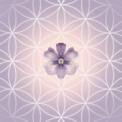 Flowers of Life