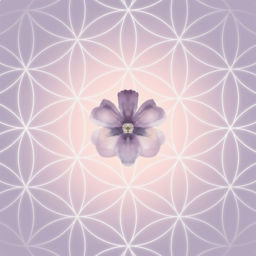 Flowers of Life