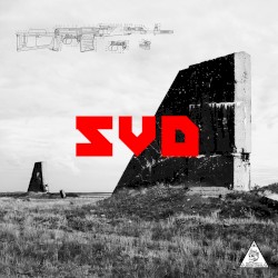 SVD