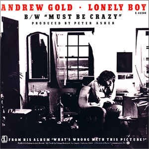 Lonely Boy