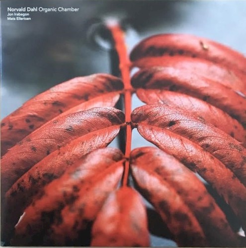 Organic Chamber