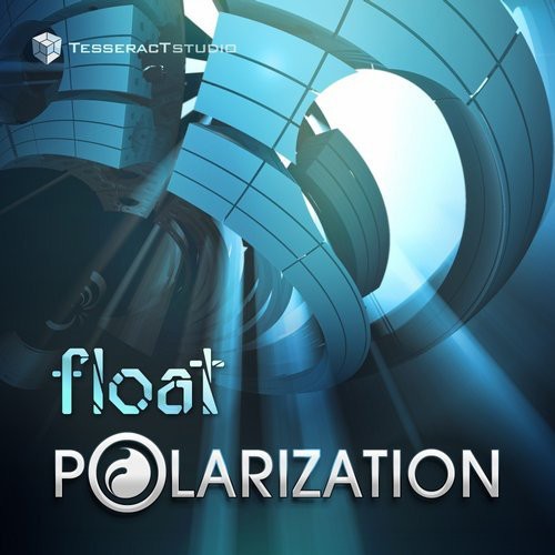 Polarization