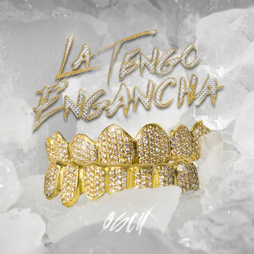 La tengo enganchá