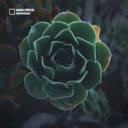 Photosynthesis