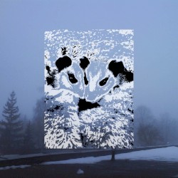 [untitled]