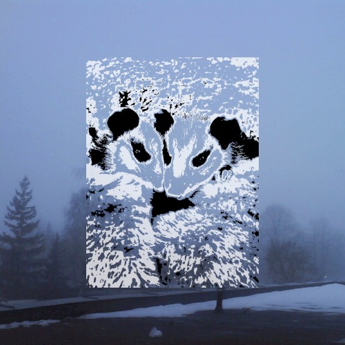 [untitled]