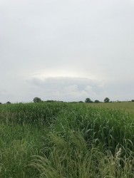 skylarkin'
