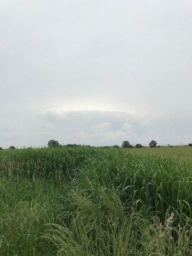 skylarkin'