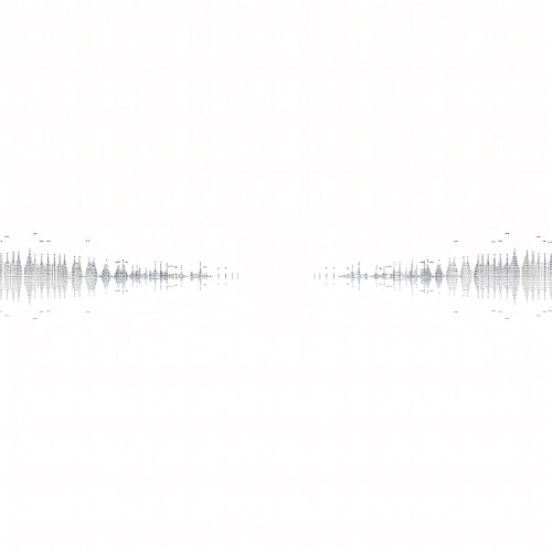 SONEGA