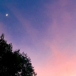 Beyond the Lovers’ Paradox Into the Perfect Lovers’ Infinity