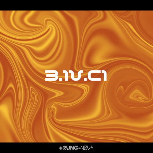 3.1V.C1