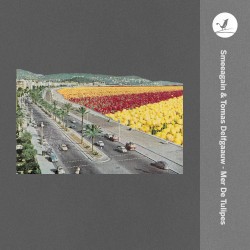 Mer de tulipes