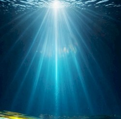 A Distant Point of Light