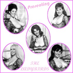 Presenting... The Ladybirds!