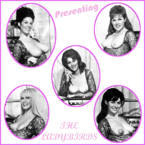 Presenting... The Ladybirds!