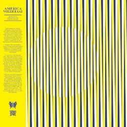 América invertida