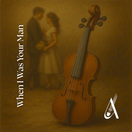When I Was Your Man (Violin Cover)