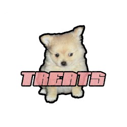 treats 001