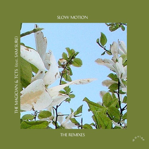 Slow Motion (Boston Bun & Punctual remixes)