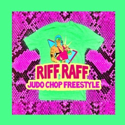 Judo Chop Freestyle