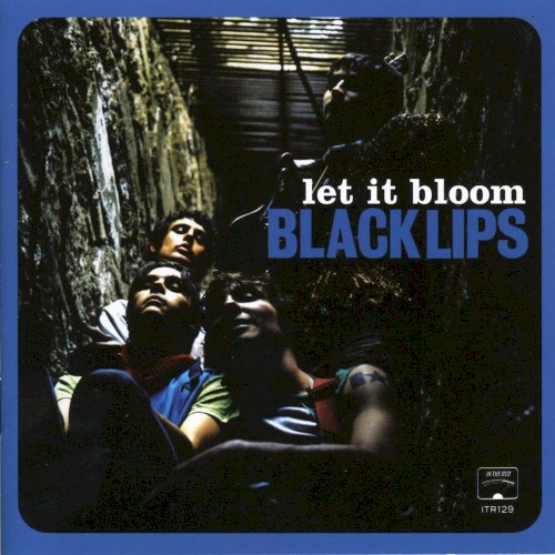 Let It Bloom