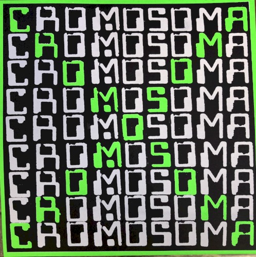 Cromosoma