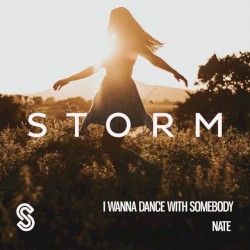 I Wanna Dance With Somebody