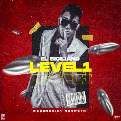 Level 1